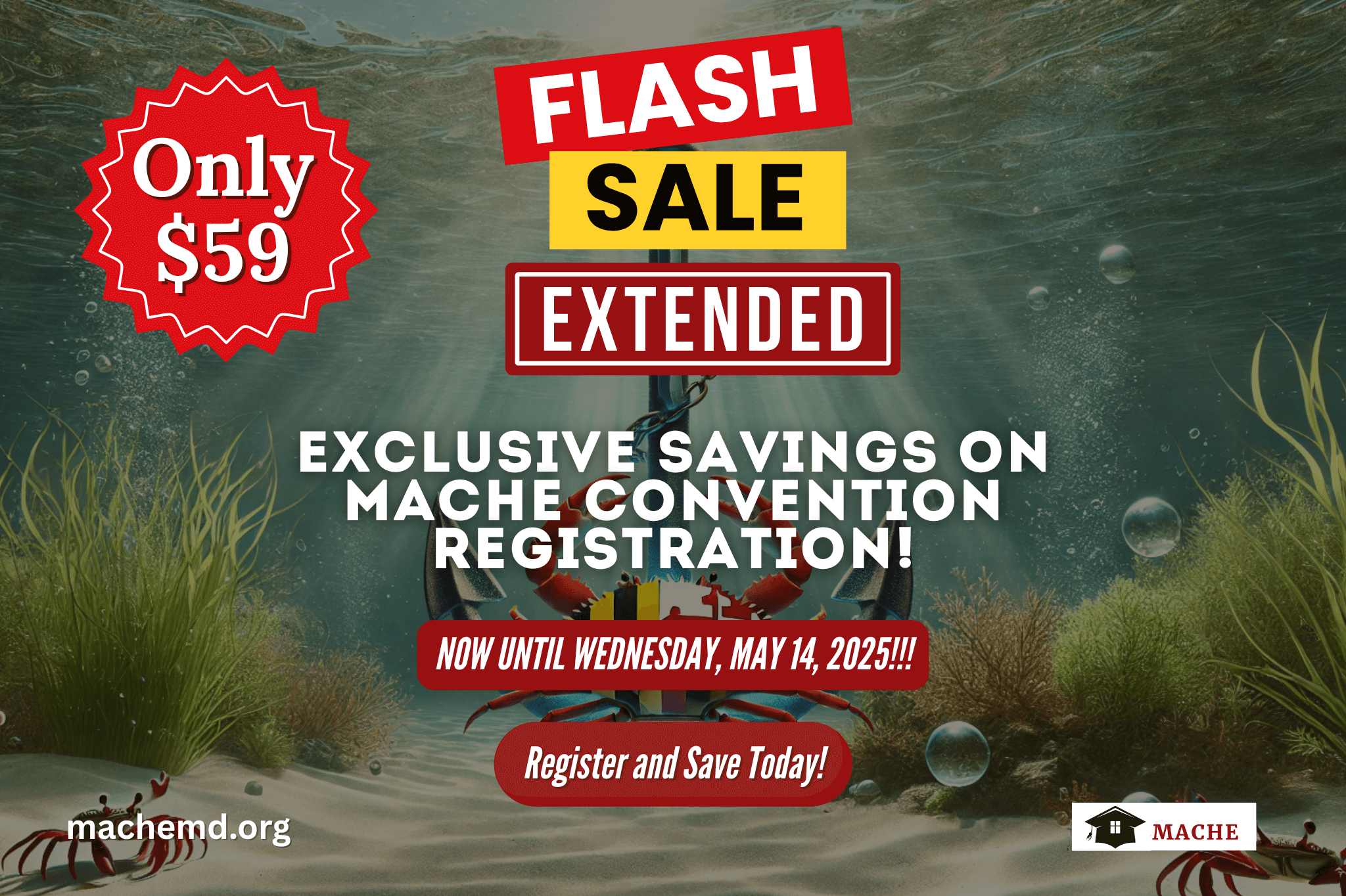 Flash Sale Extended #2 (Email)