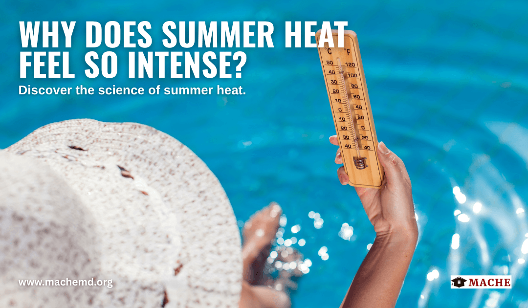 Why Does Summer Heat Feel So Intense?