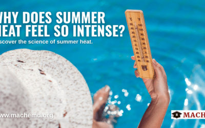 Why Does Summer Heat Feel So Intense?