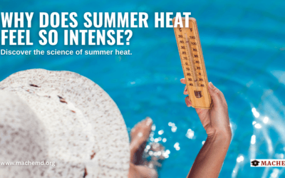 Why Does Summer Heat Feel So Intense?
